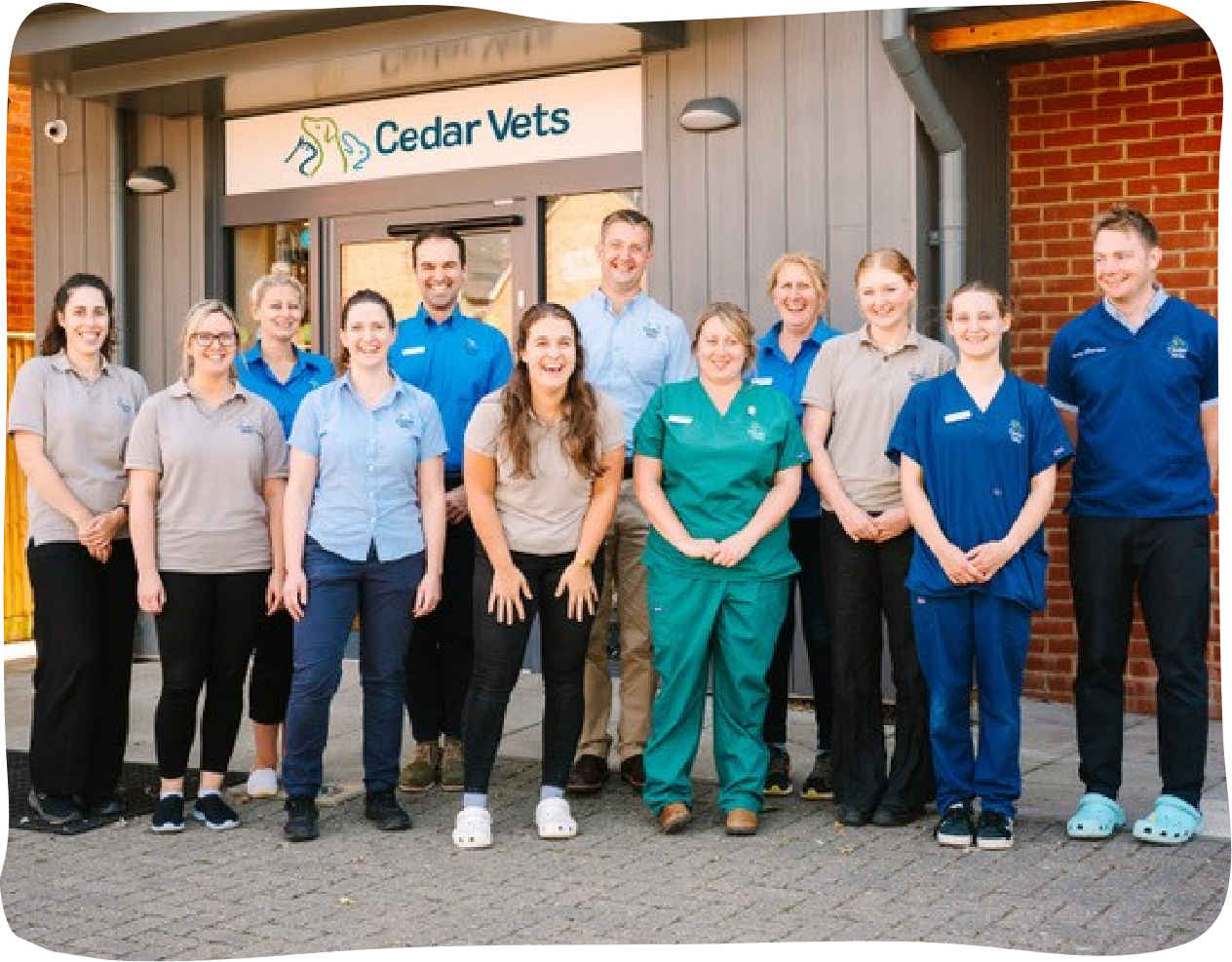 Team at Cedar Vets Alresford