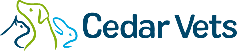 Cedar Vets