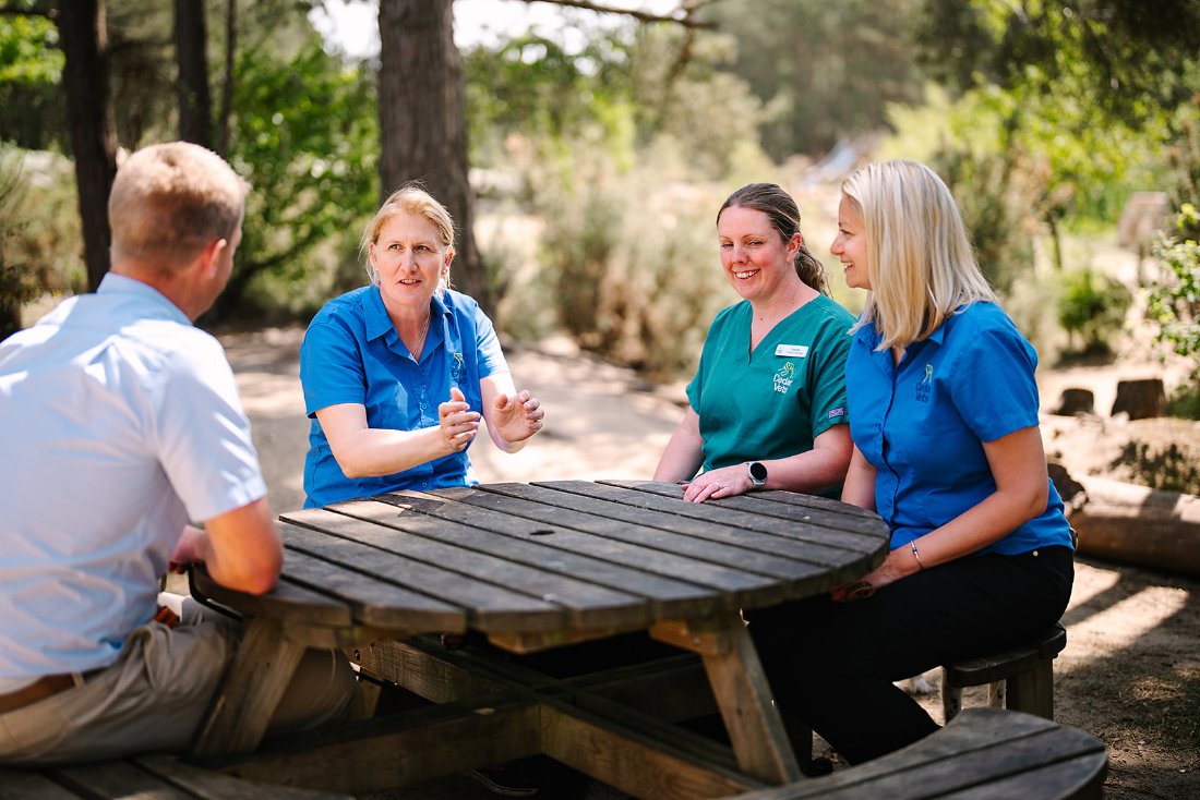 Cedar Vets Staff having a picnic round a table