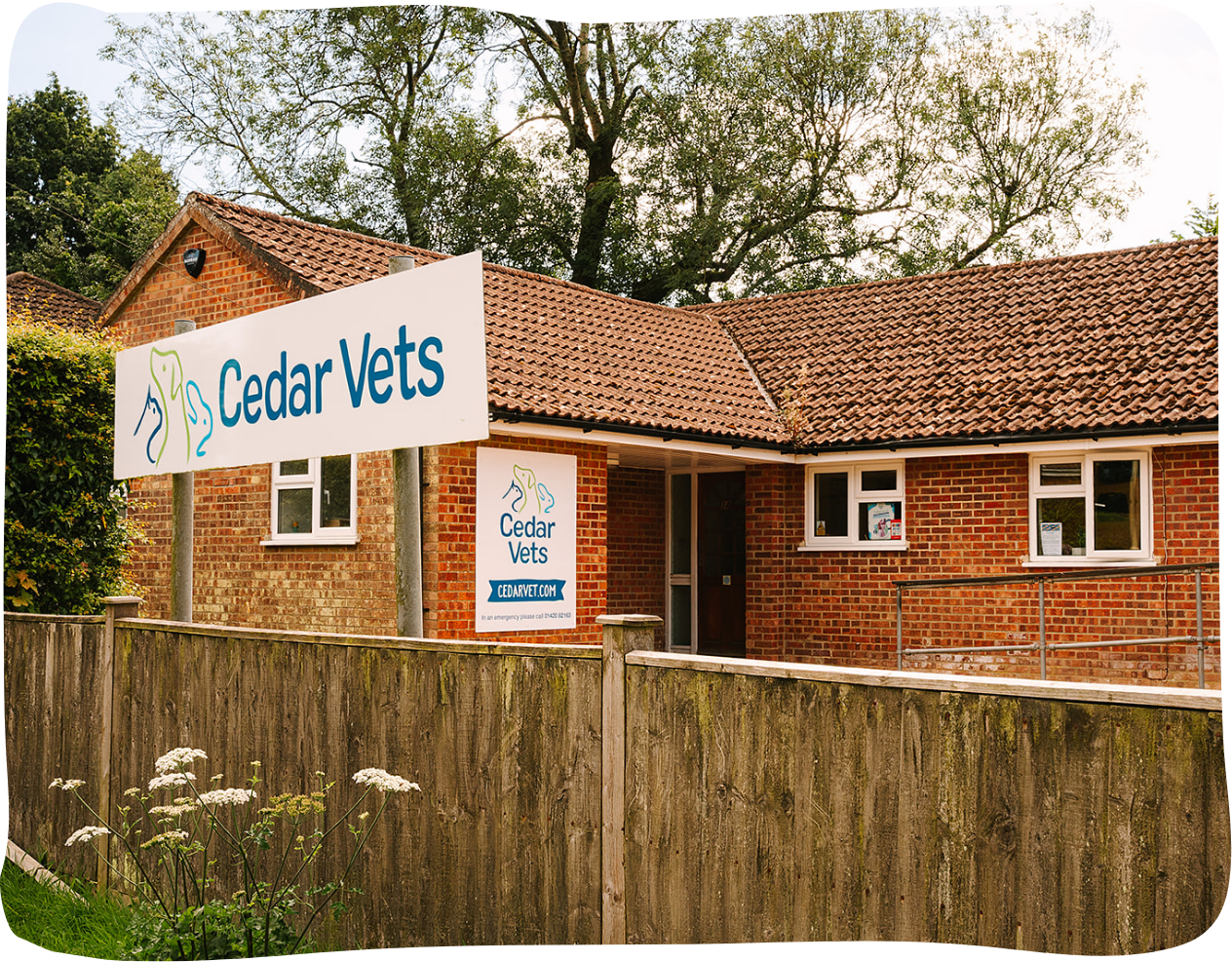 Team at Cedar Vets Four Marks