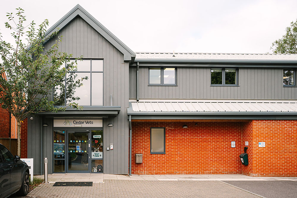 Cedars Alresford Entrance