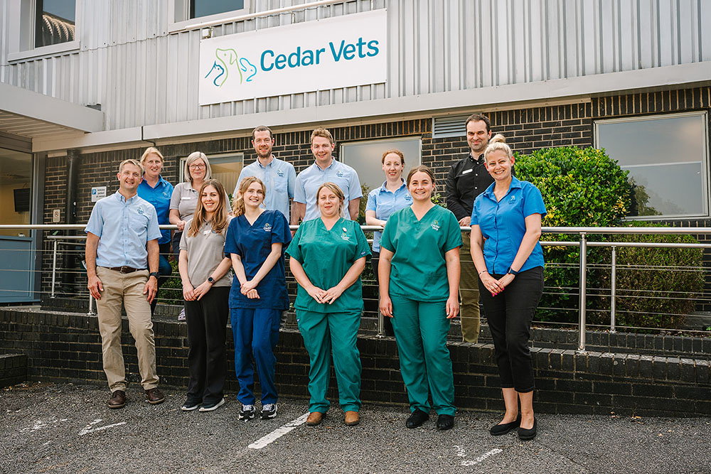 Cedars Alton Vet Check