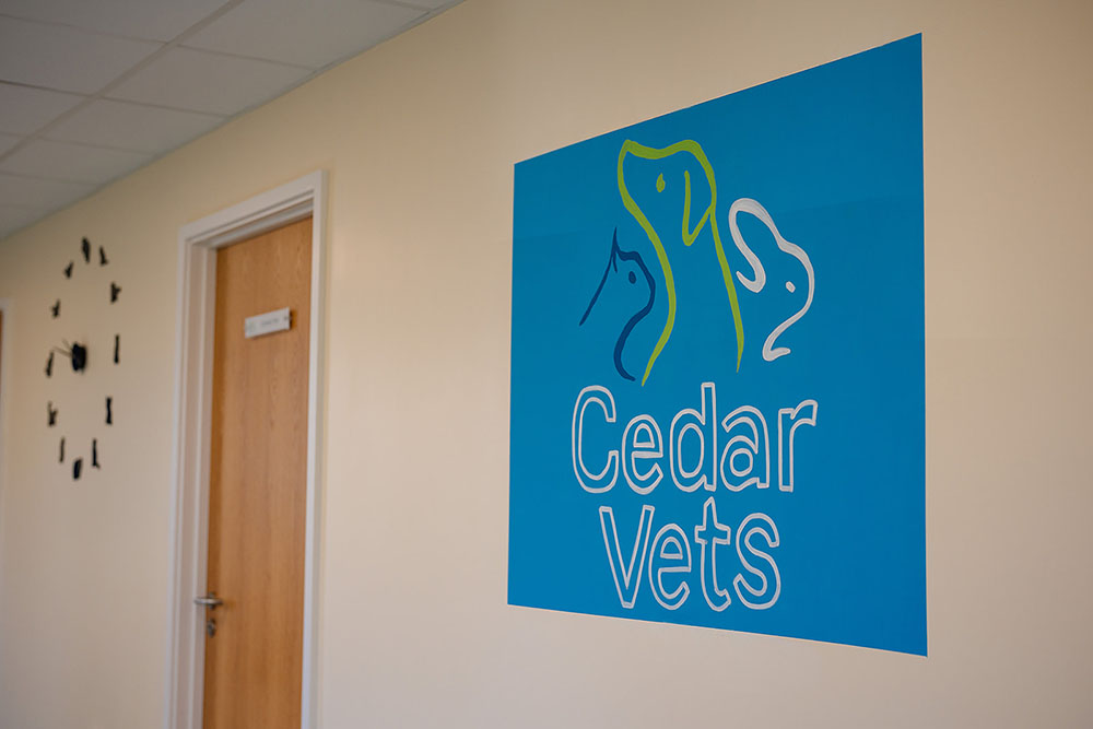 Cedars Alton Vet check