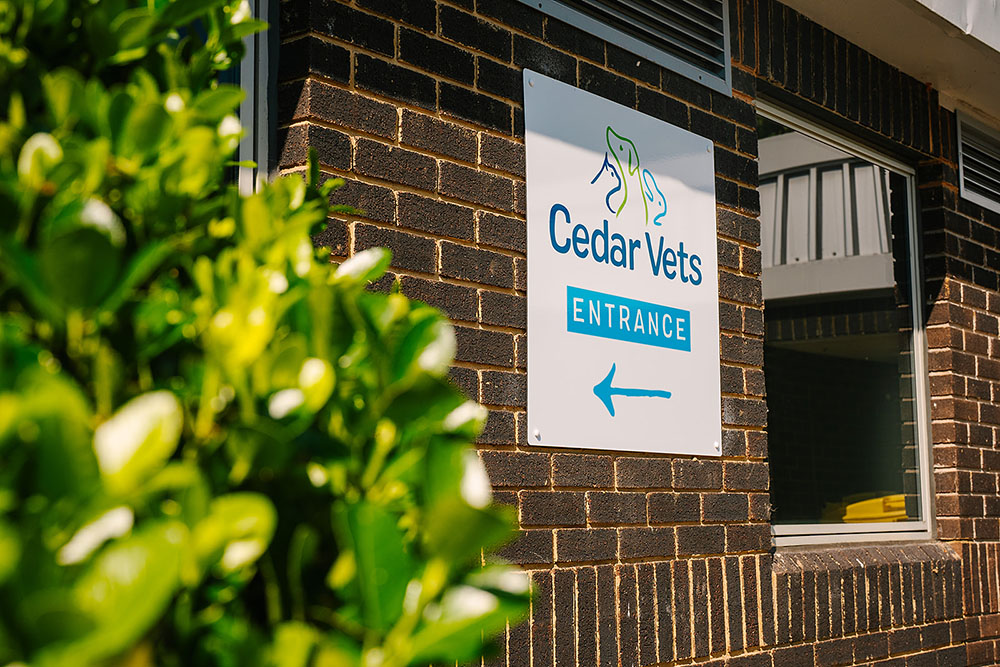 Cedars Alton Entrance