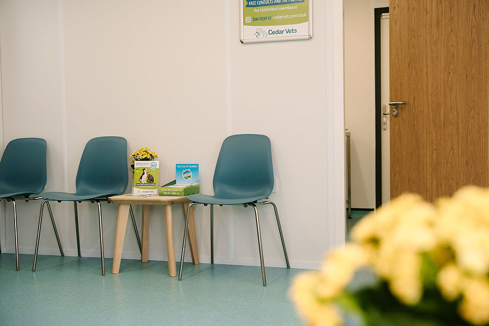 Cedars Bordon Waiting area