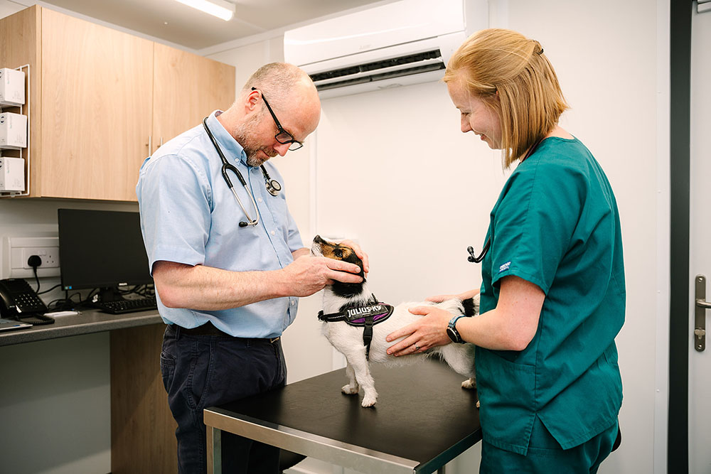 Cedars Bordon Vet Check