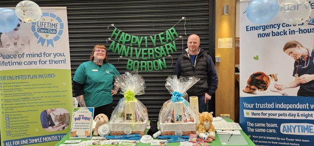 Happy 1 Year Anniversary Bordon