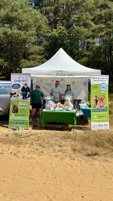 Hogmoor Community Fun Day
