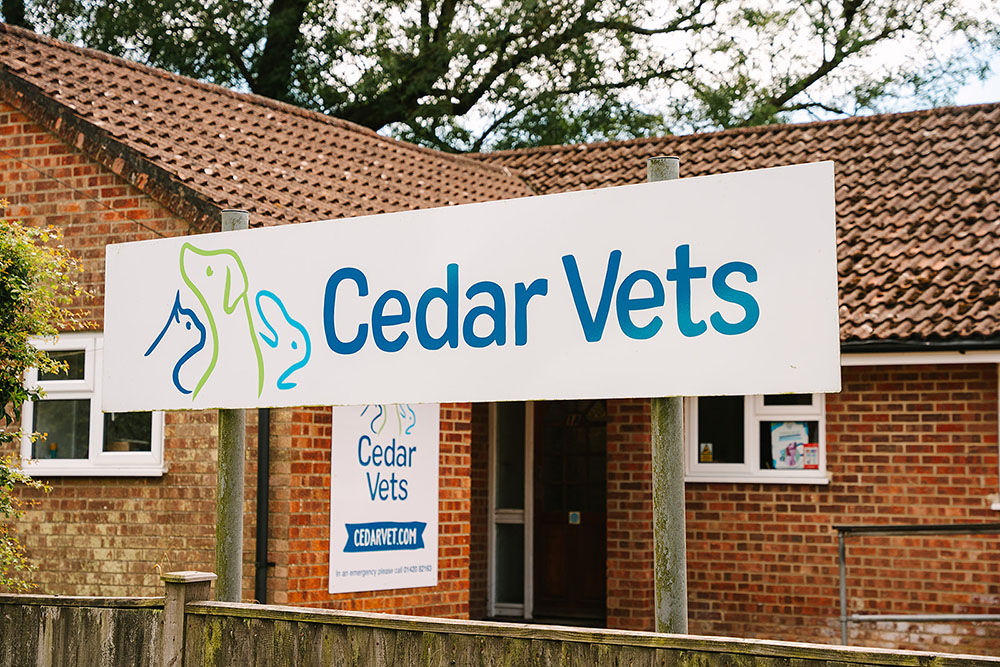 Cedars Four Marks Entrance