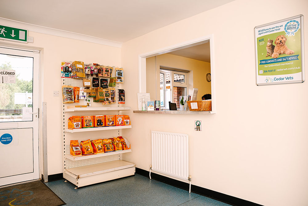 Cedar Vets Surgery
