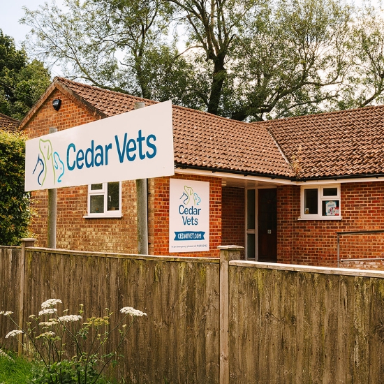Cedar Vets Four Marks